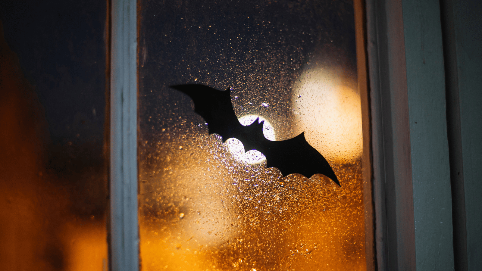 Bat on the window